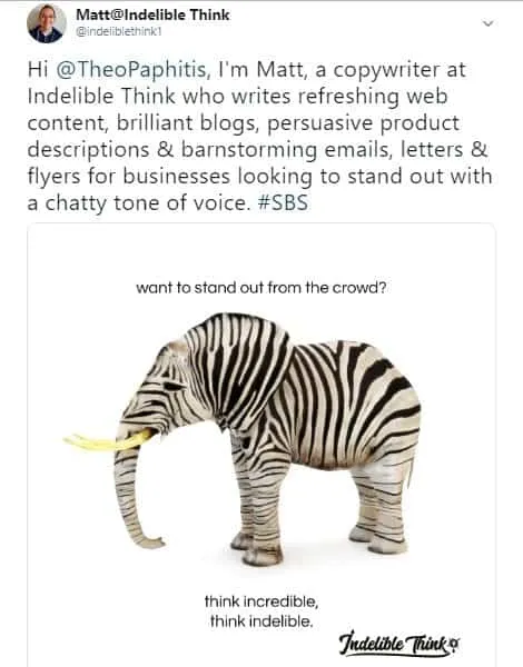 theo paphitis, #SBS, small business sunday, copywriter, indelible think