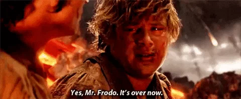 frodosamwiseover